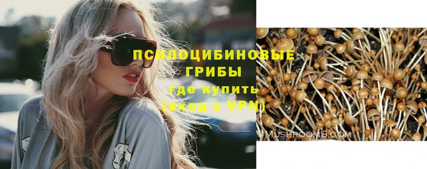 прущая мука Надым