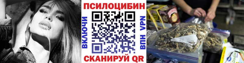 Галлюциногенные грибы Psilocybine cubensis  Спас-Клепики 